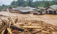 Banjir Mulai Surut, Kayu-Kayu Glonggongan Mulai di Evakuasi