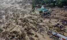 Izin 22 Perusahaan di Cabut Kementerian Kehutanan