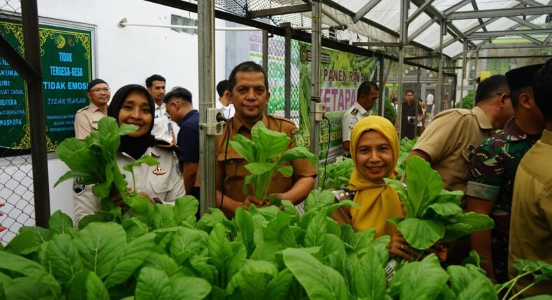 foto slider headline