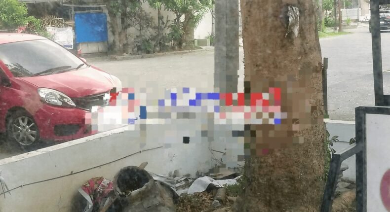 foto slider headline