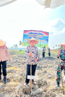 Pemko Tanjungbalai Dukung Polres Tanjungbalai Gelar Tanam Jagung Serentak Kuartal I Tahun 2026 