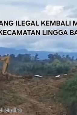 Nama-Nama Diduga Pemilik Alat Berat Muncul” Satma AMPI Minta Aparat Bertindak Transparan