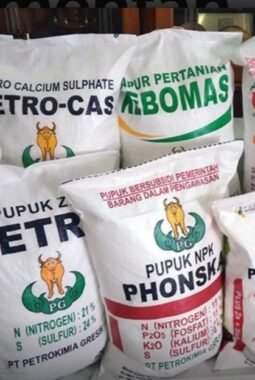 Petani di Padang Lawas Khawatir, Pupuk Subsidi Tidak Masuk