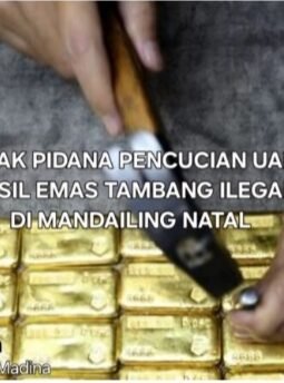 APH Diminta Tindak Dugaan TPPU dan Aktivitas Mencurigakan di Desa Rumbio