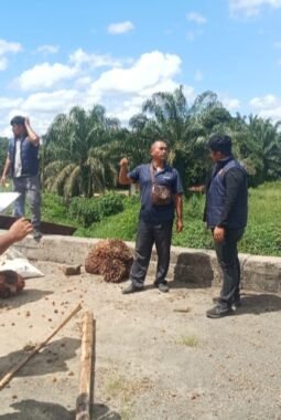 Olah TKP Pencurian TBS Diduga Dilakukan PT Barapala,  Pokres Panggil Saksi