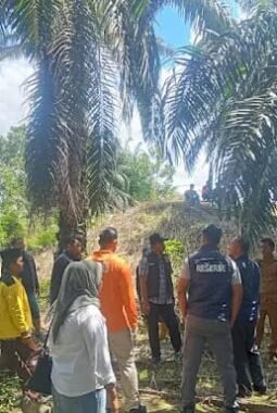 Kuasa Hukum Desak Polres Palas Tindak Lanjuti Laporan Dugaan Pencurian TBS Sawit