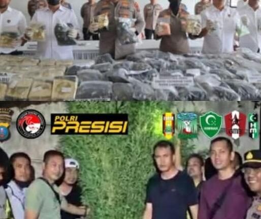 foto slider headline