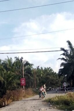 MA Batalkan SK Pelepasan Hutan 4.773 Ha di Asahan; Lahan Harusnya Kembali Jadi Hutan Negara