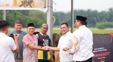 Polda Sumut Sembelih 31 Ekor Sapi Kurban, Milik Kapolda Berbobot 1 Ton