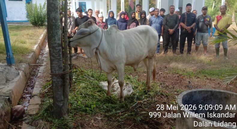 foto slider headline