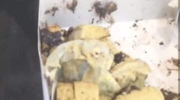 Viral Bolu Berjamur Aroma Bakery Disperindagsu; Produk Tak Cantumkan Tanggal Kedaluwarsa
