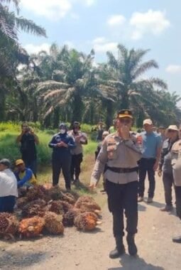Antisipasi Konflik, Polisi Cegah Warga Panen Sawit di Lahan HGU PT CSIL Asahan