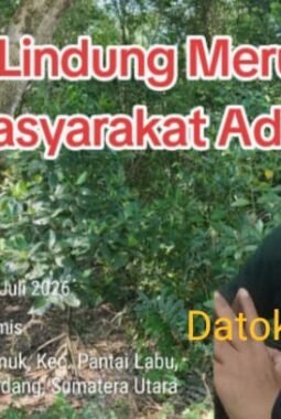 Status Hutan Lindung Rugikan Masyarakat Adat dan Untungkan Mafia Tanah