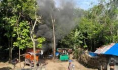 Kebun di Deli Serdang Jadi Sarang Narkoba, Pohon jadi Tempat CCTV Pemantau Polisi