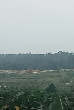 Galian C Ilegal di Tadukan Raga Deli Serdang Marak, Warga Keluhkan Debu dan Lubang Berbahaya