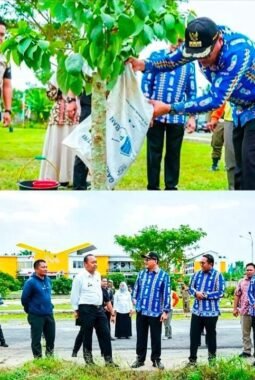Semarak HUT Kemerdekaan RI Ke-81, Pemkab Deli Serdang Tanam Ratusan Bibit Pohon