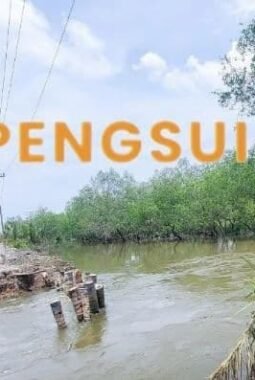 Dinas SDA Sumut Luncurkan SIPENGSUI, Platform Digital Pengelolaan Sungai Berbasis GIS