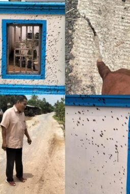 Dinilai Buruk, FORWARSPAM-RI Soroti Proyek Pengaspalan Jalan di Desa Purwodadi Pagar Merbau