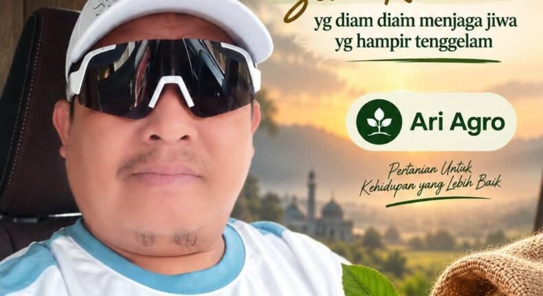 foto slider headline