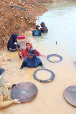 Tambang di Pulo Padang Ditertibkan, Warga Minta Solusi