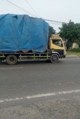 Truk Pengangkut Kayu Pinus Masih Melintas di Simalungun, Kapolda Sumut Diminta Bertindak