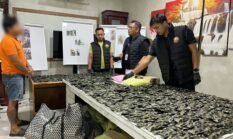 Polisi Bongkar Gudang Narkoba di Deli Serdang, Barang Bukti Senilai Rp10 Miliar