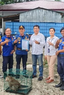 Kadis Damkarmat Deli Serdang Serahkan Satwa Liar Hasil Evakuasi ke BKSDA Provinsi Sumut 