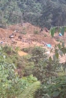PM Madina Desak APH Periksa Kades dan ASN Terlibat PETI